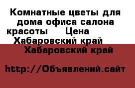 Комнатные цветы для дома,офиса,салона красоты!! › Цена ­ 5-15000 - Хабаровский край  »    . Хабаровский край